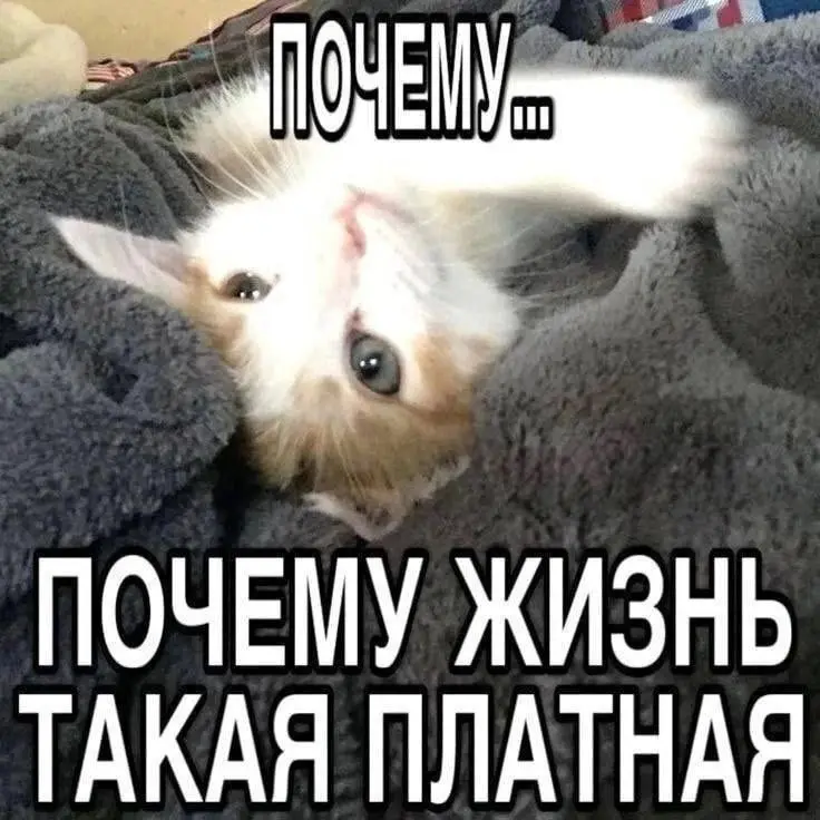 ПЦ Деньги(Москва слезам не верит) | Сетка — социальная сеть от hh.ru