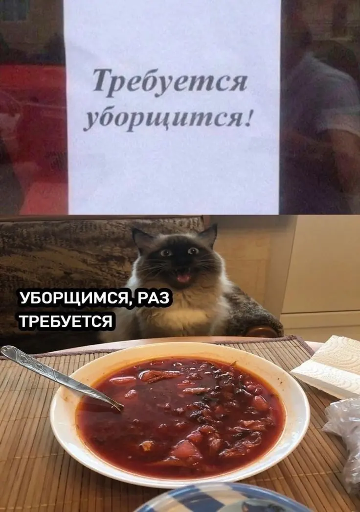 Скоро осень, а значит пора прислушаться к котику.. | Сетка — социальная сеть от hh.ru