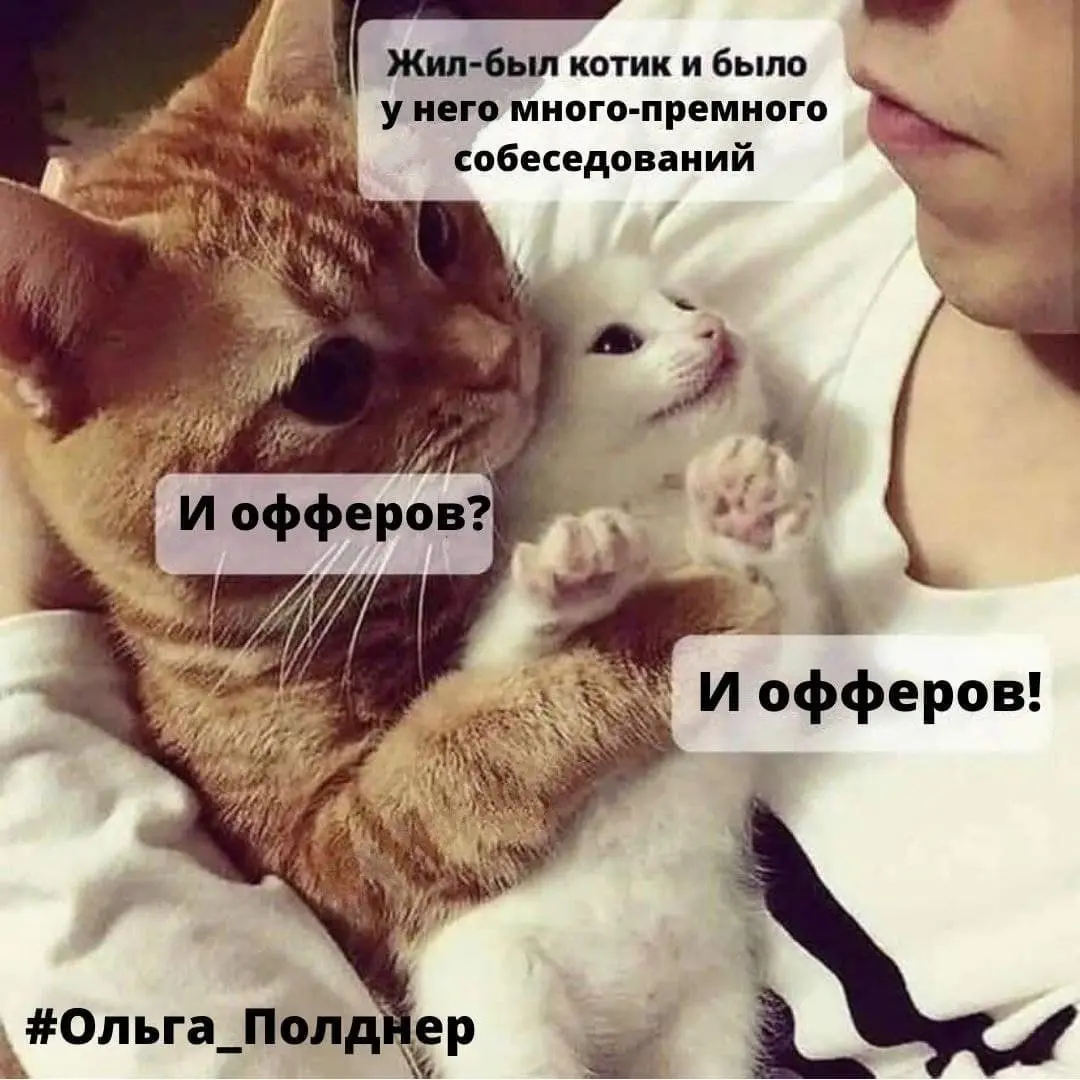 Сказка на ночь 😂
(Собственноручно созданный мем)
БЛОГ В ТГ / БЛОГ В MAX
#Юмор #Коты
В этом посте были ссылки, но мы их удалили по правилам Сетки | Сетка — социальная сеть от hh.ru