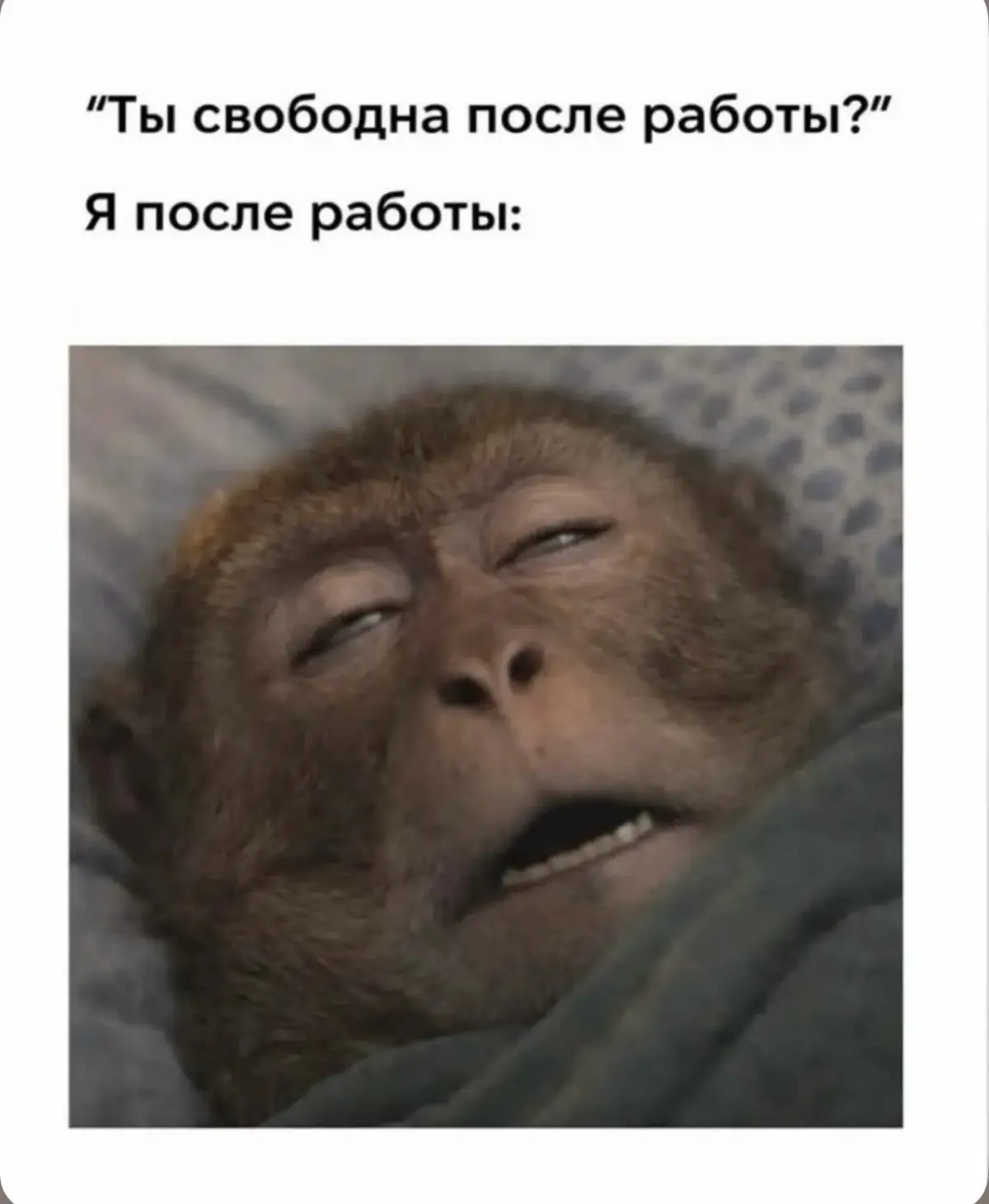 Предпоследние летние выходные. Ценим, наслаждаемся. | Сетка — социальная сеть от hh.ru