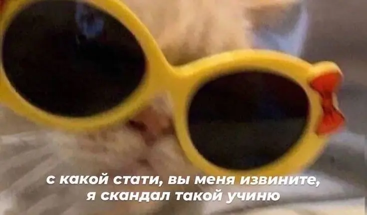 Россияне против публичных конфликтов с работодателем | Сетка — социальная сеть от hh.ru