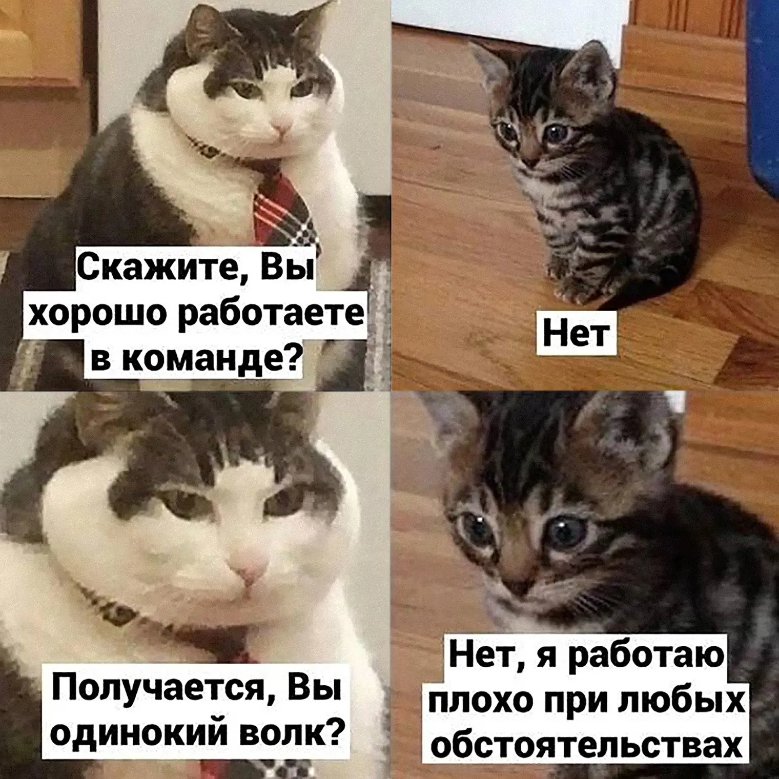 Вопрос, который поставил в тупик | Сетка — социальная сеть от hh.ru