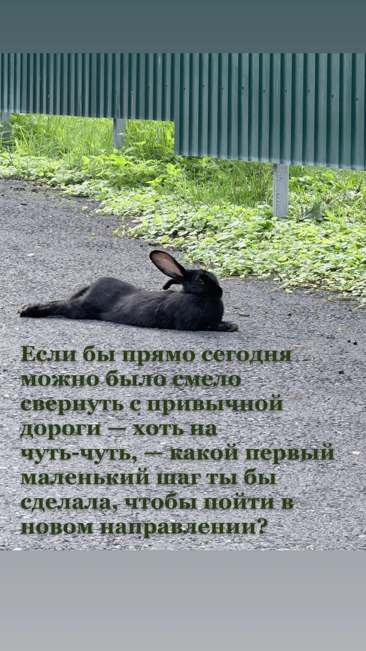 Мой ТГ канал
https://t.me/+KMwTAIHdU\s0NDAy | Сетка — социальная сеть от hh.ru