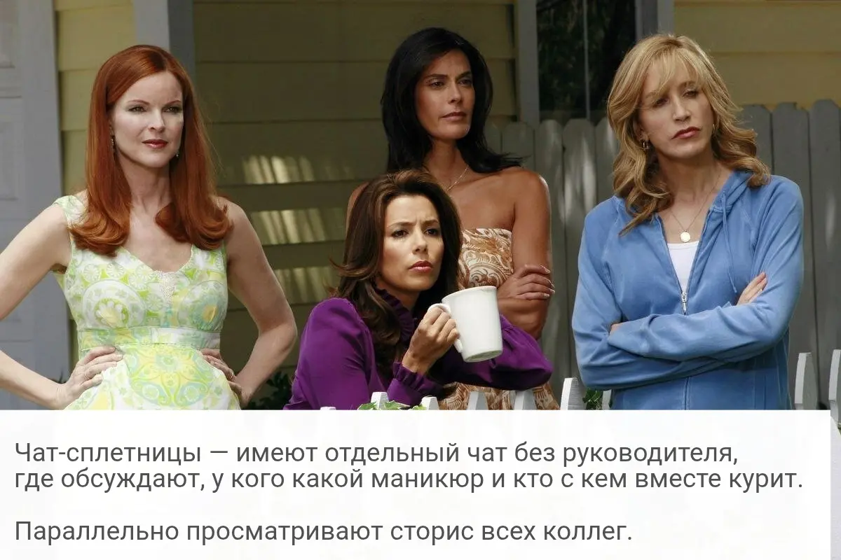 Чат-сплетницы | Сетка — социальная сеть от hh.ru