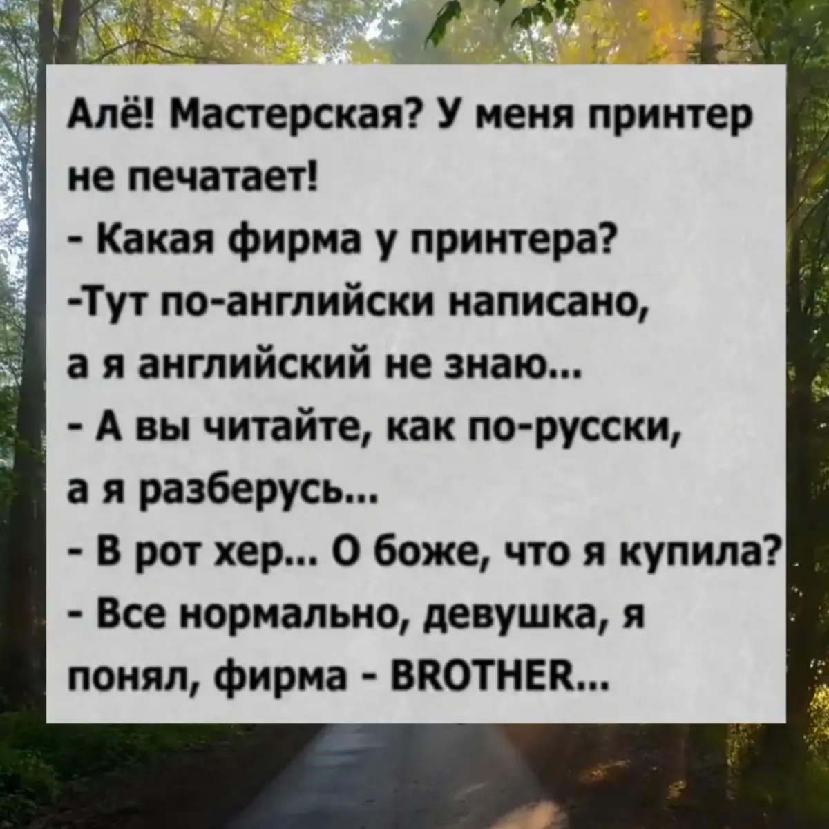ДАМЫ, УЧИТЕСЬ ВЛАДЕТЬ ЯЗЫКАМИ 😎 | Сетка — социальная сеть от hh.ru