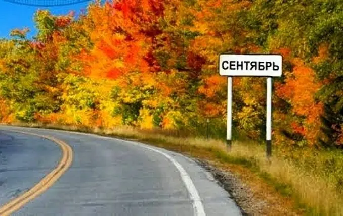 🍂 Скоро сентябрь: пора взять продвижение!
Август почти закончился, стоит закончить его на высокой ноте и пора планировать новый месяц | Сетка — социальная сеть от hh.ru