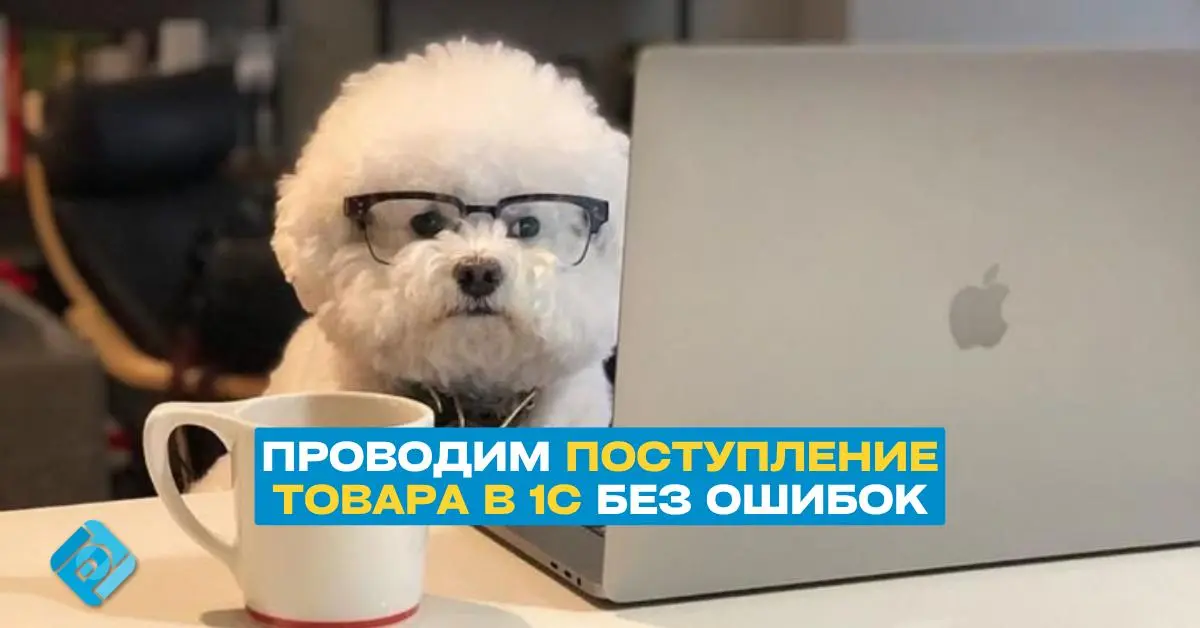 📦 Как провести поступление товара в 1С:Бухгалтерии 8 без ошибок
Поступление товаров влияет сразу на несколько участков учета: остатки на складе, расчеты с поставщиком, себестоимость и входной НДС | Сетка — социальная сеть от hh.ru