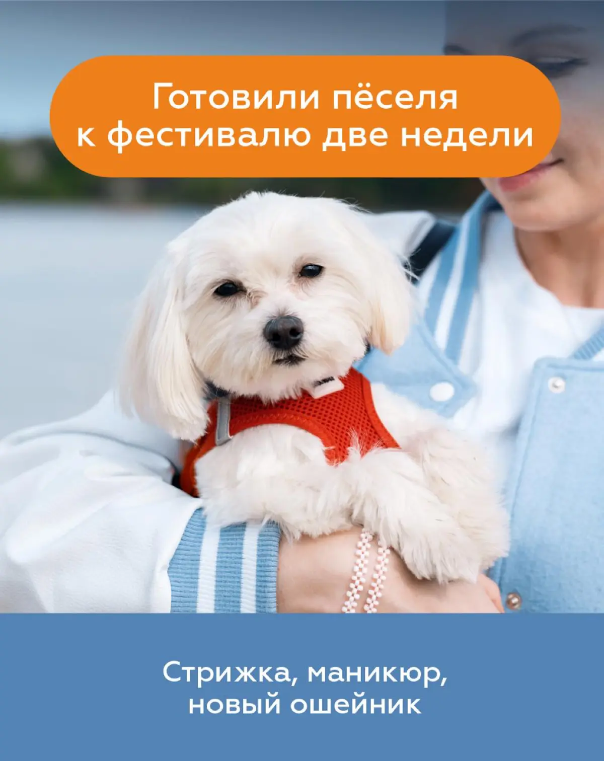 🐾 22 и 23 августа Измайловский парк Москвы перейдёт под хвостатое управление. Здесь пройдёт «Четыре Лапы ФЕСТ» — большой семейный праздник, куда можно (и даже нужно!) прийти вместе с питомцем | Сетка — социальная сеть от hh.ru