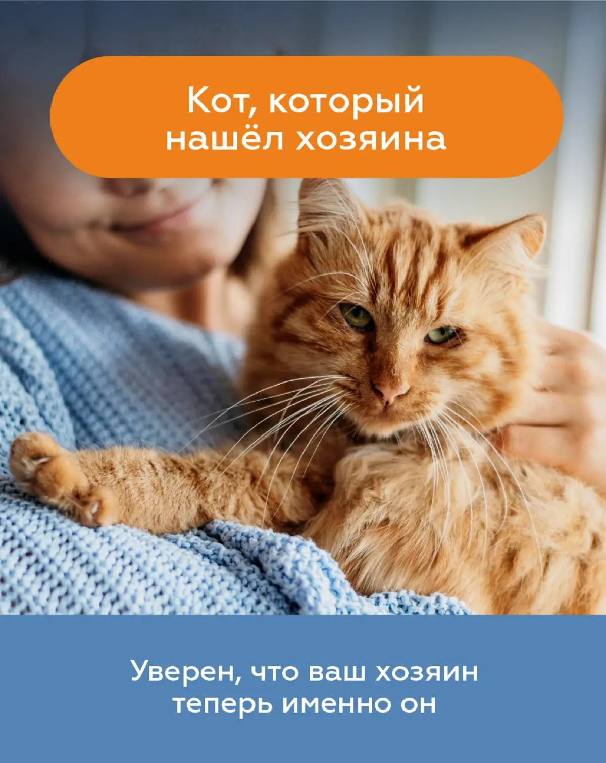 🐾 22 и 23 августа Измайловский парк Москвы перейдёт под хвостатое управление. Здесь пройдёт «Четыре Лапы ФЕСТ» — большой семейный праздник, куда можно (и даже нужно!) прийти вместе с питомцем | Сетка — социальная сеть от hh.ru