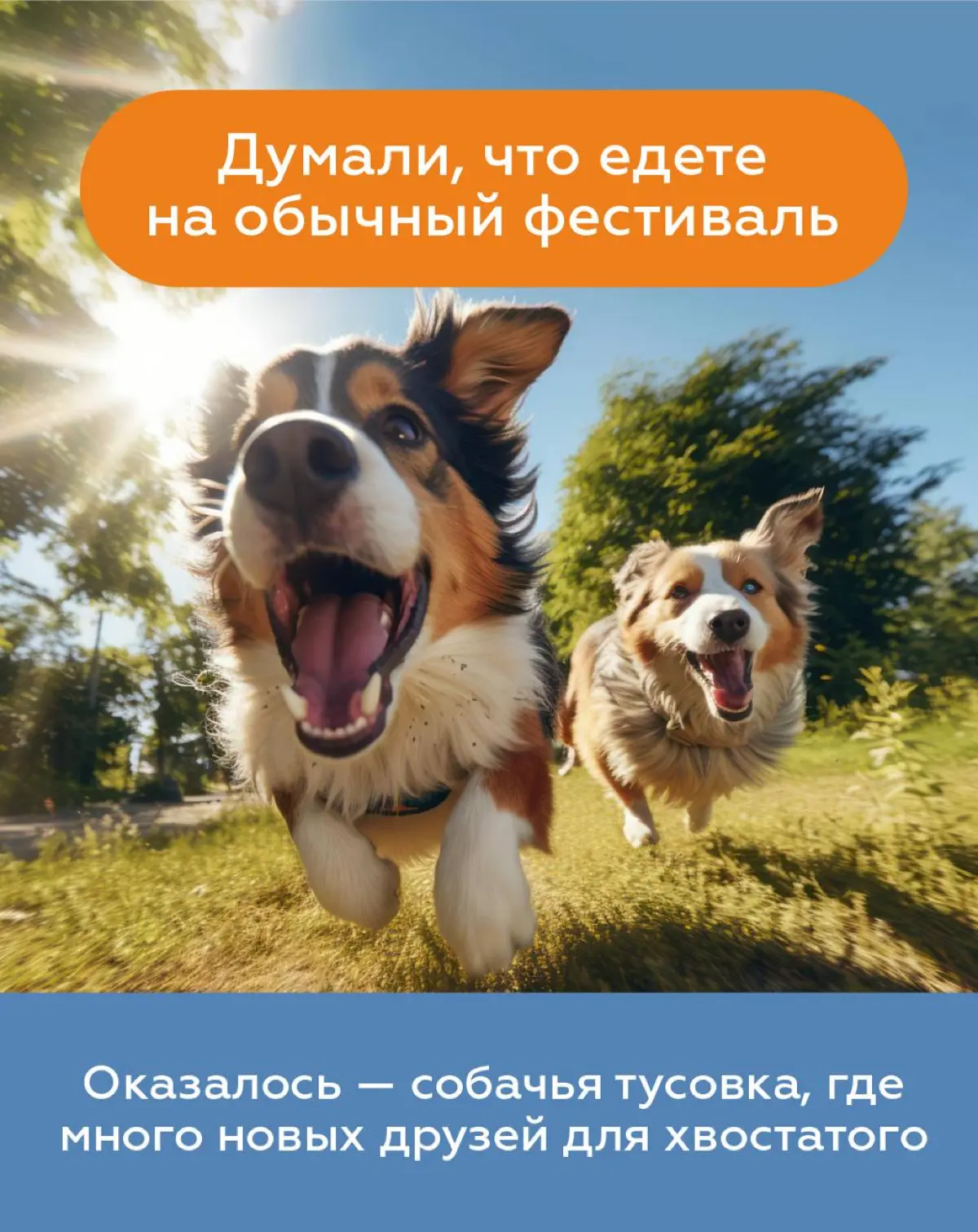 🐾 22 и 23 августа Измайловский парк Москвы перейдёт под хвостатое управление. Здесь пройдёт «Четыре Лапы ФЕСТ» — большой семейный праздник, куда можно (и даже нужно!) прийти вместе с питомцем | Сетка — социальная сеть от hh.ru