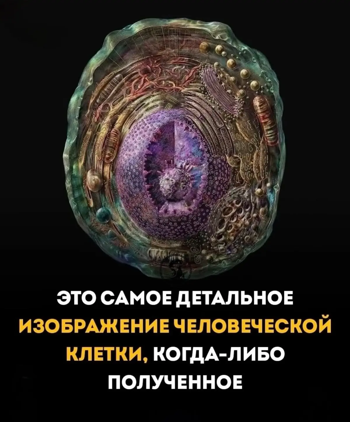 Вот и живите теперь с этим… | Сетка — социальная сеть от hh.ru
