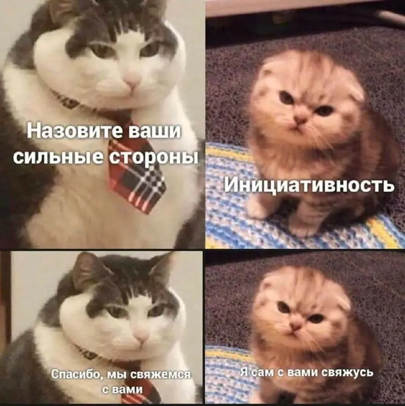 Надо брать все в свои руки 😂
БЛОГ В ТГ / БЛОГ В MAX
#Юмор #Коты
В этом посте были ссылки, но мы их удалили по правилам Сетки | Сетка — социальная сеть от hh.ru