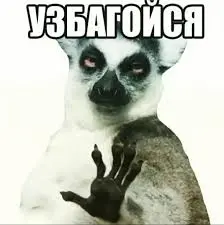 Если вы не хотите ходить к психологу. У вас нет денег. Нет времени. Нет веры в терапию. Вы считаете все это инфоцыганством. Я рекомендую Вам Лимуров | Сетка — социальная сеть от hh.ru