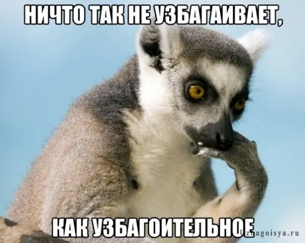 Если вы не хотите ходить к психологу. У вас нет денег. Нет времени. Нет веры в терапию. Вы считаете все это инфоцыганством. Я рекомендую Вам Лимуров | Сетка — социальная сеть от hh.ru