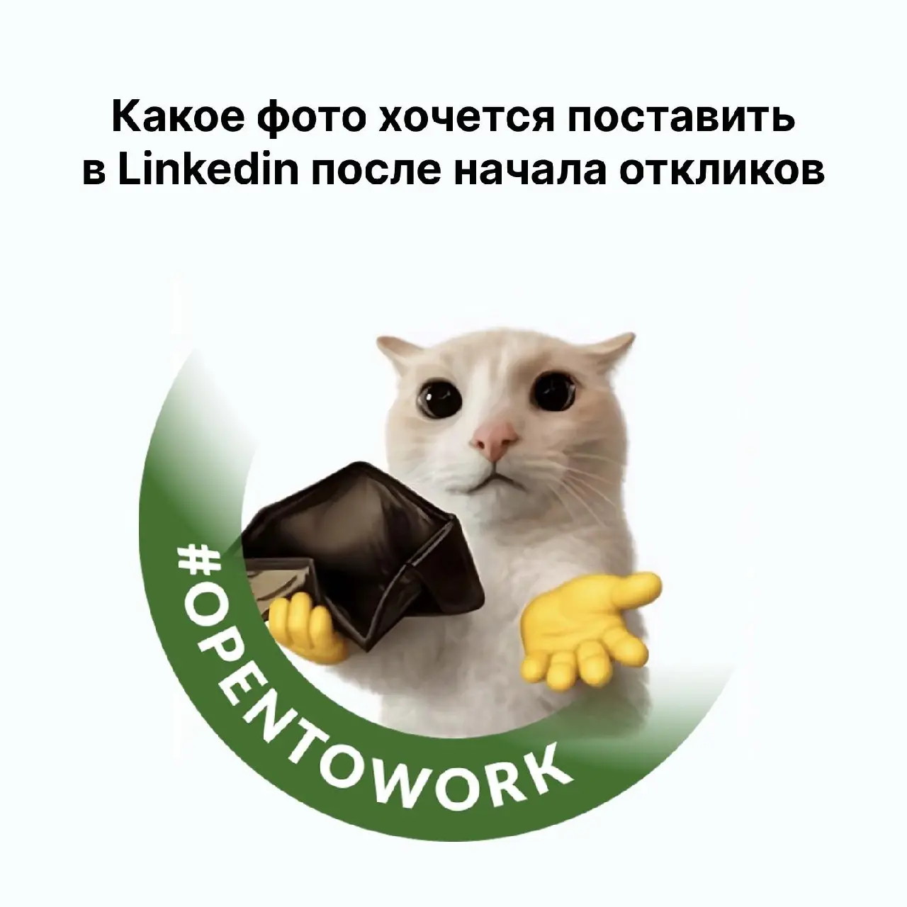 Небольшая подборка мемов к выходным 👍
Видео про сырок особенно улыбнуло)) Его, кстати, прислал участник нашего чата CareerStation Club 😎 Вы тоже закидывайте любимые мемы в комменты! | Сетка — социальная сеть от hh.ru