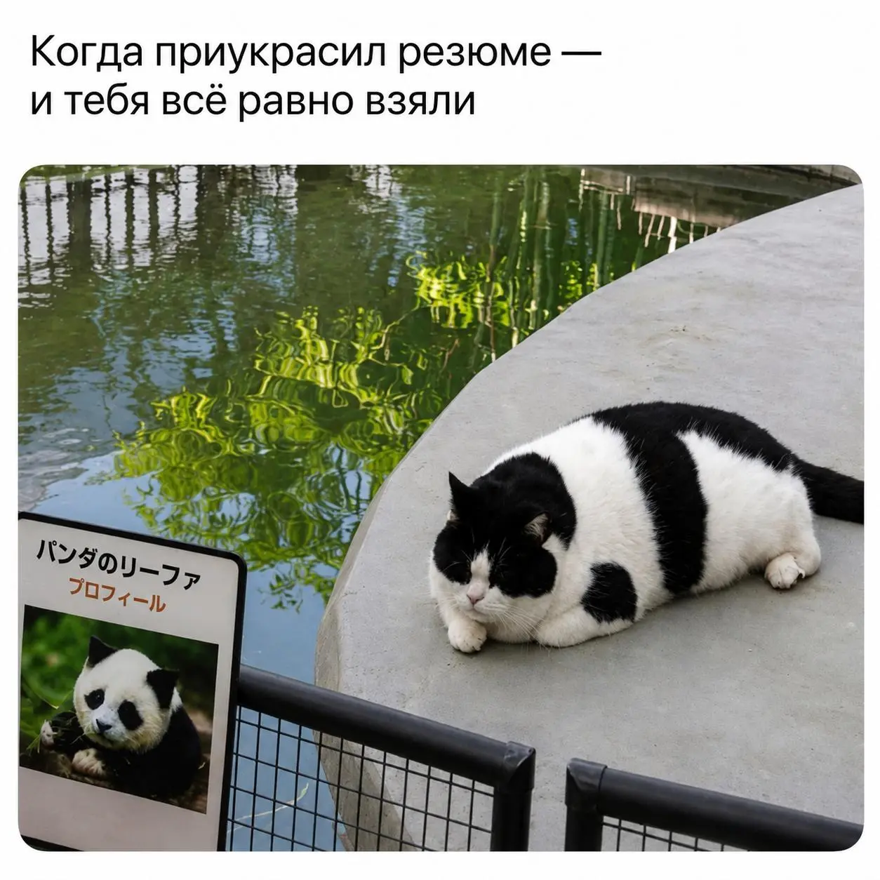 Небольшая подборка мемов к выходным 👍
Видео про сырок особенно улыбнуло)) Его, кстати, прислал участник нашего чата CareerStation Club 😎 Вы тоже закидывайте любимые мемы в комменты! | Сетка — социальная сеть от hh.ru