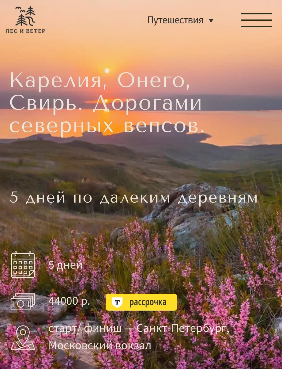 Нашли очень крутой проект для коллабы | Сетка — социальная сеть от hh.ru