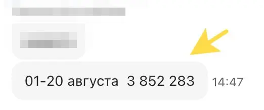 Выручка xmldatafeed.com за 20 дней августа. Парсинг. Лето, стагнация, роста особо нет, но не падаем. Делаем вовсю сервис SAAS, чтобы уйти от ручного сбора, может быть к ноябрю реализуем | Сетка — социальная сеть от hh.ru