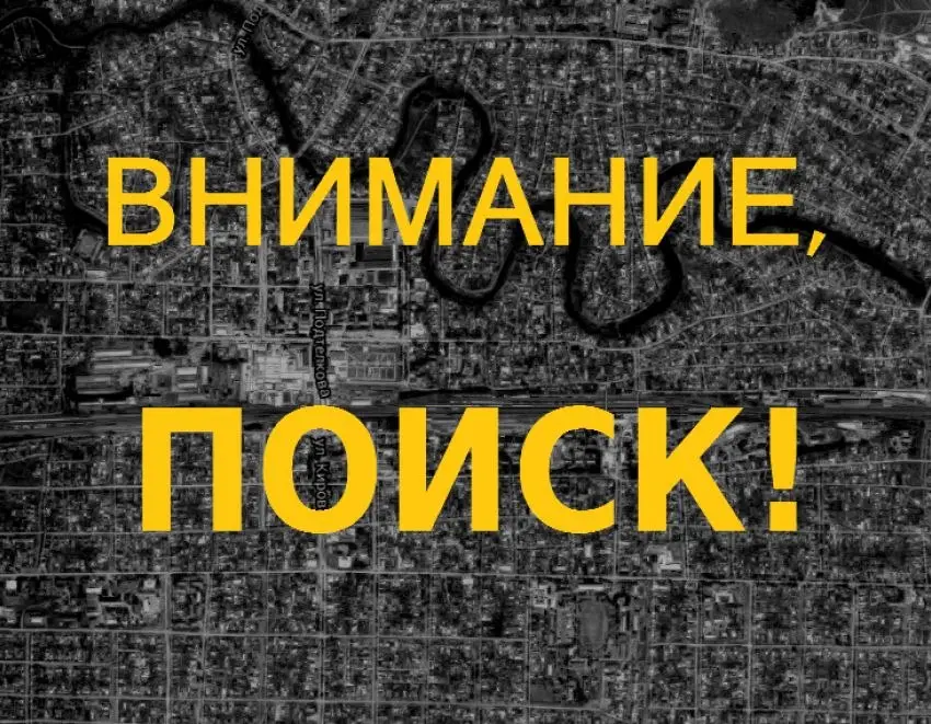 Руководитель проектов по контекстной/таргетированной рекламе | Сетка — социальная сеть от hh.ru
