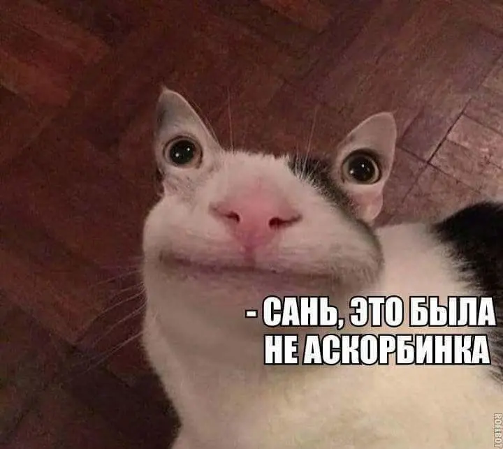 Владимир Кручин