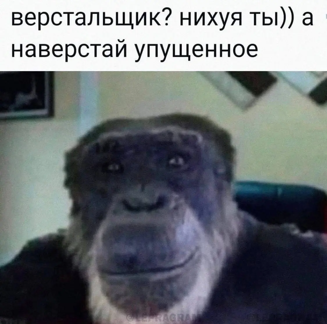 Извините… | Сетка — социальная сеть от hh.ru