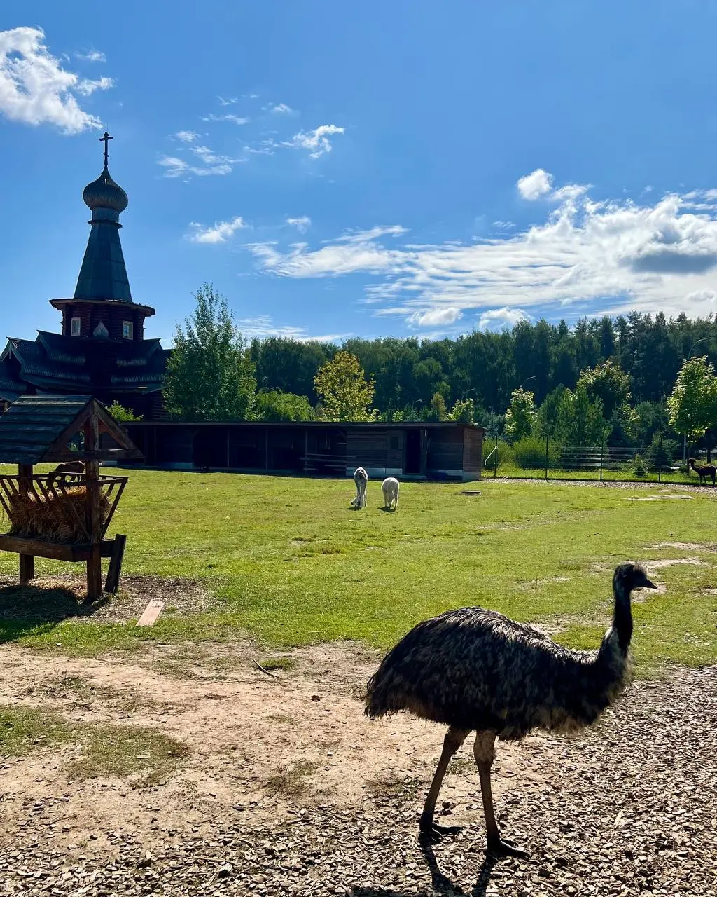 Это было шумно, вкусно, весело и интересно
Корпоратив в 📍парк-отеле Орловский
Было всё: песни, шутки, тосты, душевные разговоры и долгие прогулки
Спасибо всем и каждому за компанию и атмосферу!
В этом... | Сетка — социальная сеть от hh.ru