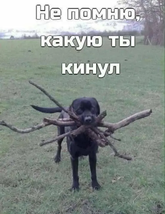 Я аналитик по образованию и стилю мышления.
И, если считать дотошно, в самом анализе профессионально уже ровно половину своей жизни - 16+ лет | Сетка — социальная сеть от hh.ru