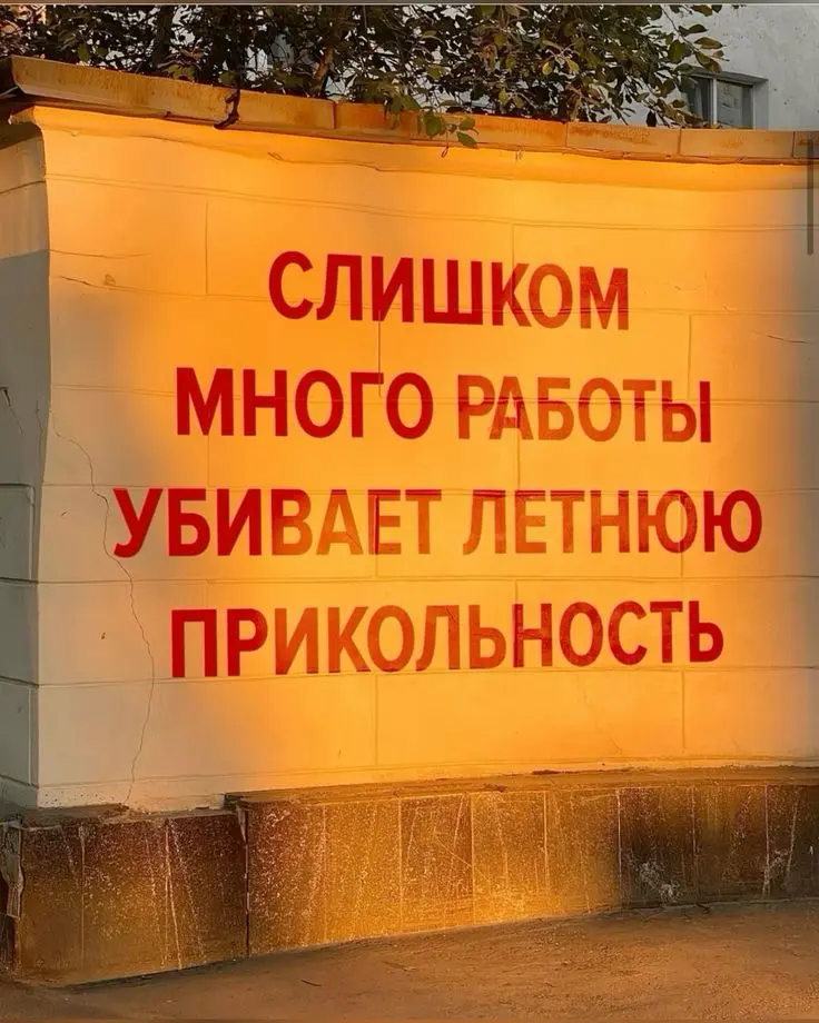 Джоб-сайты — это дейтинг, только без ужина | Сетка — социальная сеть от hh.ru