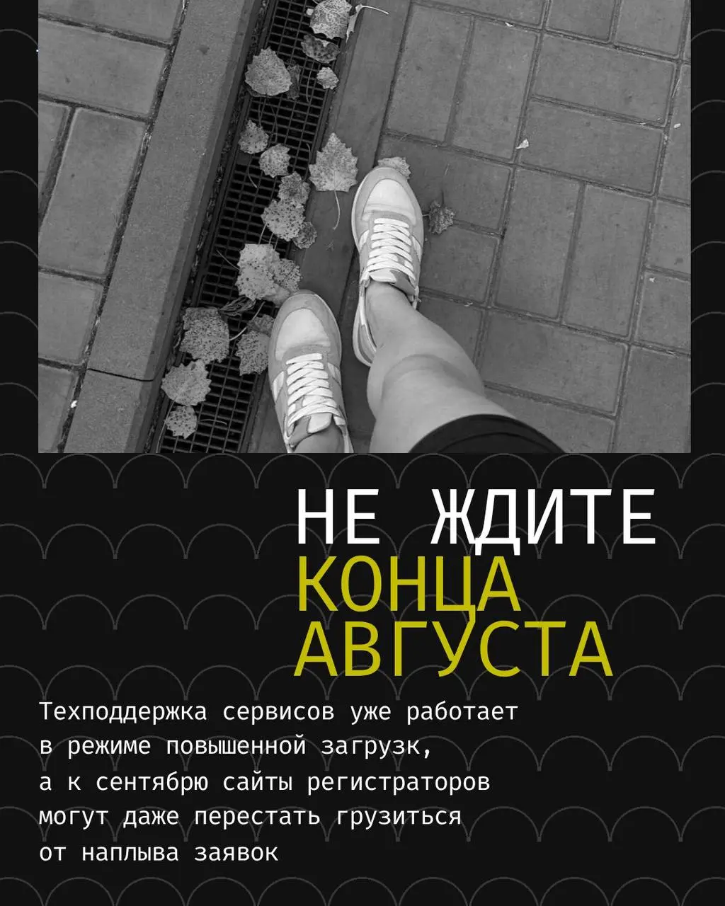 Домен бизнеса оформлен на вас? Вы уверены? | Сетка — социальная сеть от hh.ru