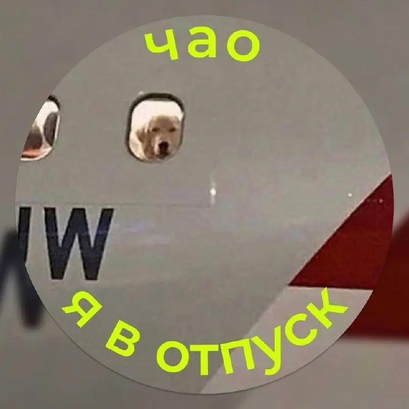 Отпускные аватарки 🌴
Сохраняйте, чтобы вас не беспокоили в вашем прайме 😄 | Сетка — социальная сеть от hh.ru