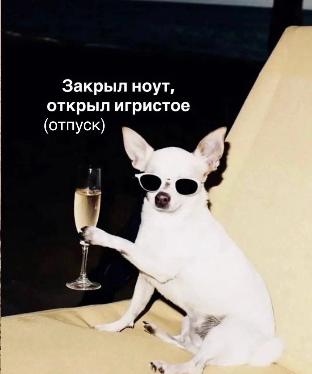 Отпускные аватарки 🌴
Сохраняйте, чтобы вас не беспокоили в вашем прайме 😄 | Сетка — социальная сеть от hh.ru