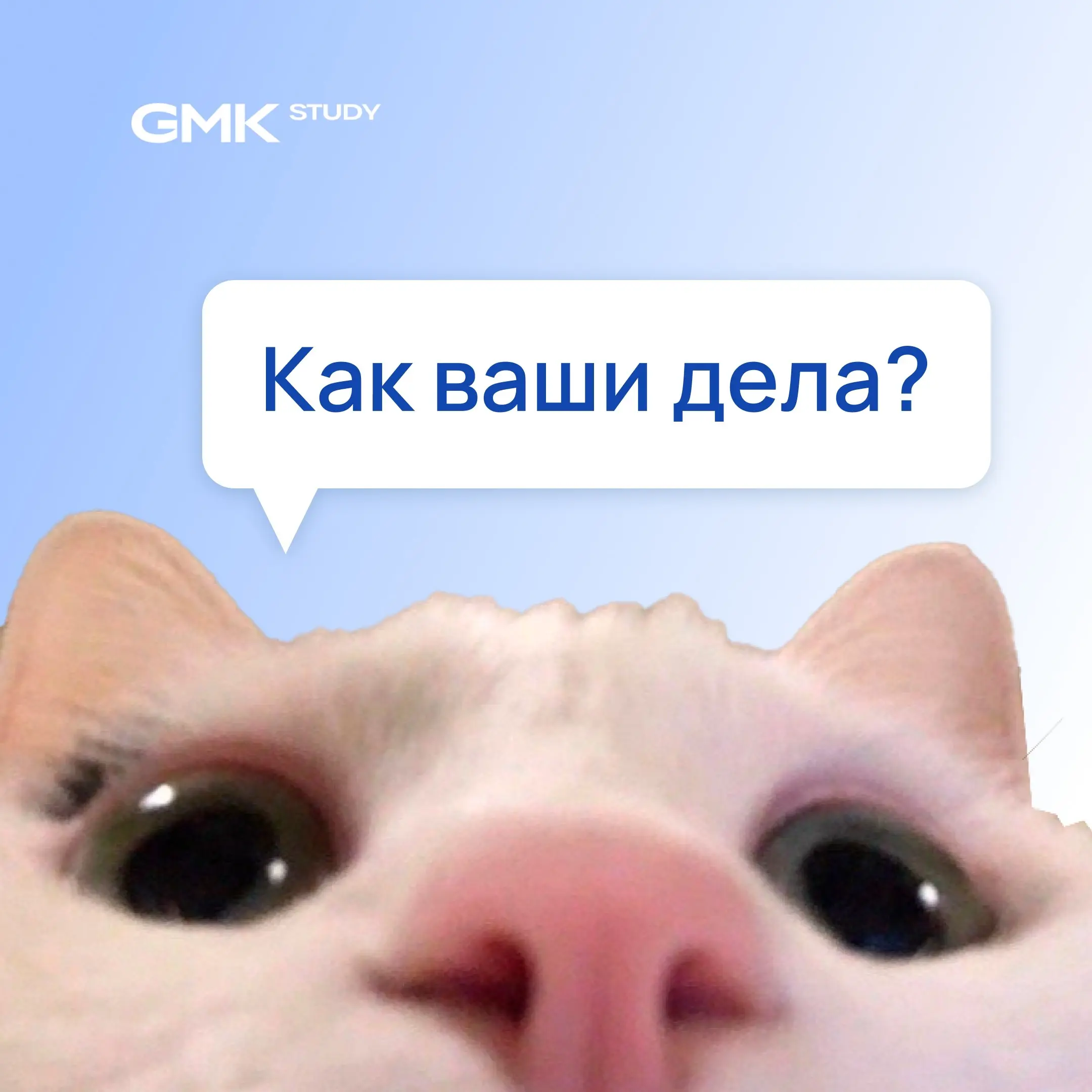 Вас спрашивают, как сейчас дела в недвижке?
Нас — регулярно, мы — тоже 😜
Какие звучат ответы:
— Да нормально.
— Все по плану.
— Держимся | Сетка — социальная сеть от hh.ru