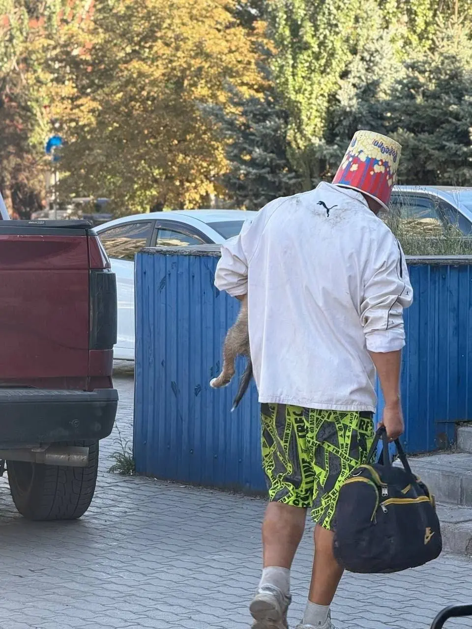 Мужчина с ведром от попкорна на голове гулял по Мариуполю с собакой
Необычного прохожего заметили местные жители. По словам очевидцев, мужчина вёл себя странно и якобы жестоко обращался с собакой. | Сетка — социальная сеть от hh.ru