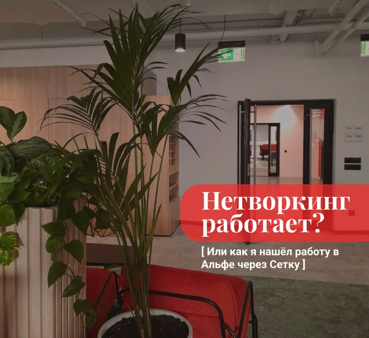 Нашёл работу через СЕТКУ - КАК? | Сетка — социальная сеть от hh.ru