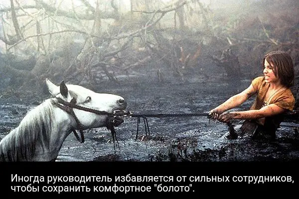 Руководители избавляются от сильных сотрудников | Сетка — социальная сеть от hh.ru