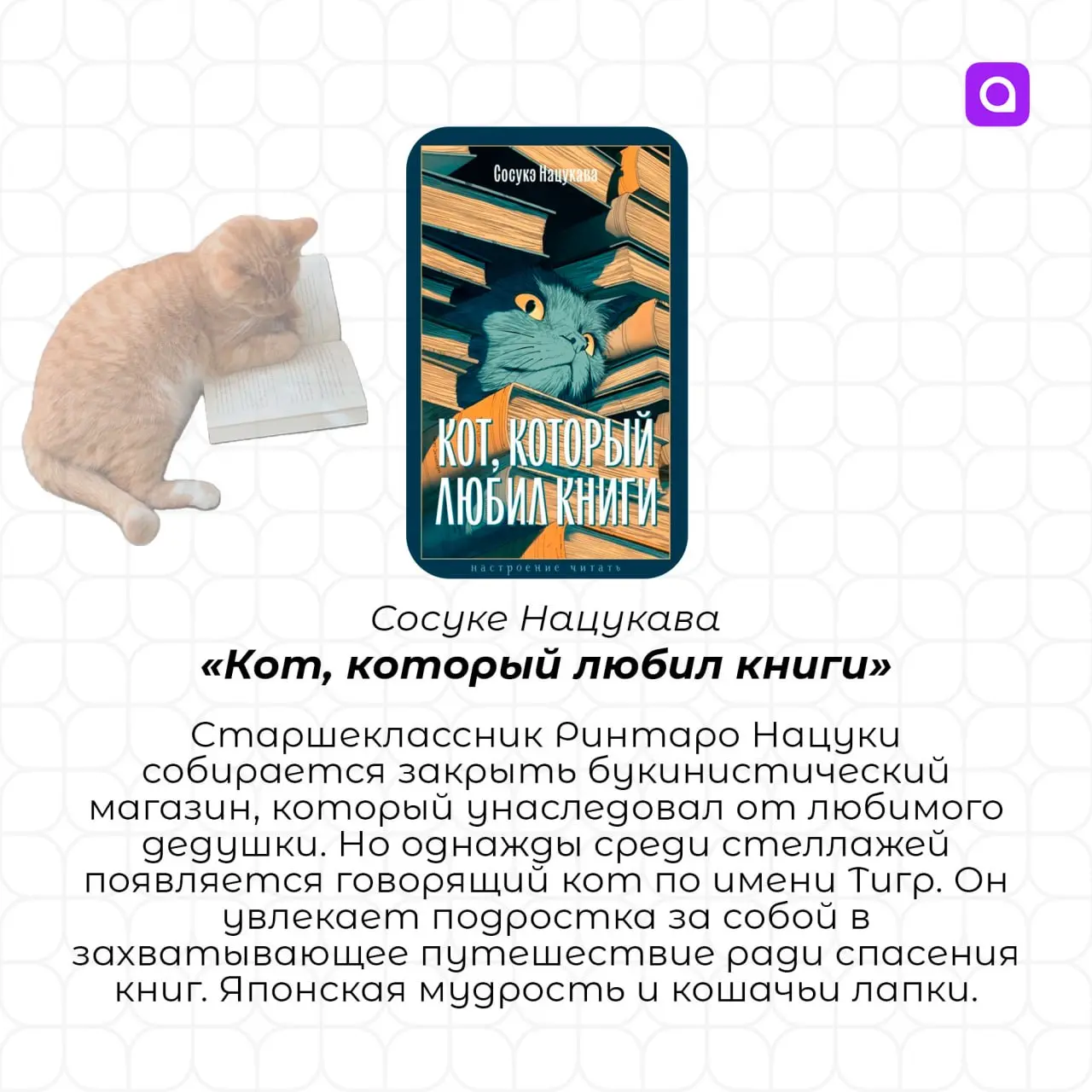 Лето неспешно перетекает в осень, и хлопот становится только больше. Пожалуй, сейчас действительно не лучшее время хвататься за большую книгу.. | Сетка — социальная сеть от hh.ru
