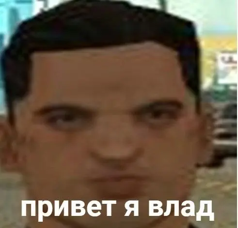 Владислав Минеев