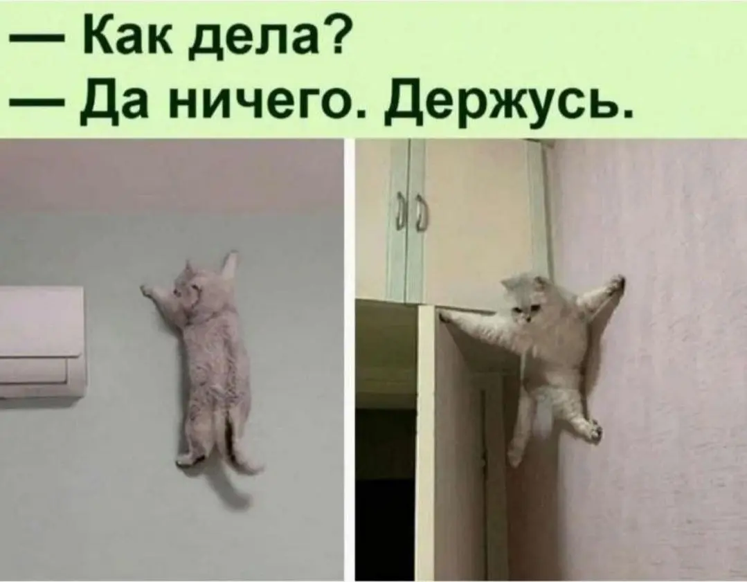 Все под контролем 😂
БЛОГ В ТГ / БЛОГ В MAX
#Юмор #Коты
В этом посте были ссылки, но мы их удалили по правилам Сетки | Сетка — социальная сеть от hh.ru