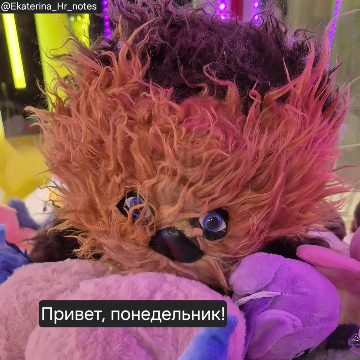 Друзья, как настроение? | Сетка — социальная сеть от hh.ru