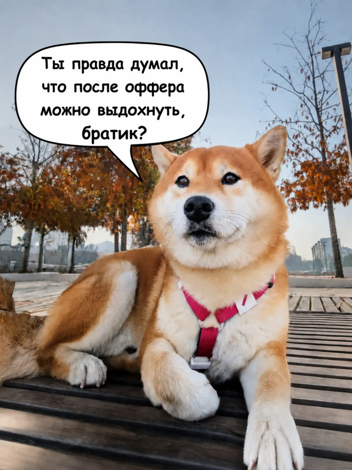 Оффер – не финиш. После него всё только начинается | Сетка — социальная сеть от hh.ru