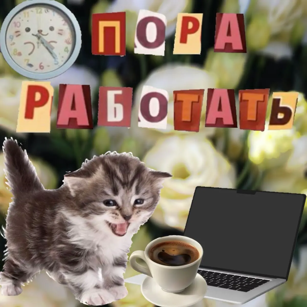 Всем привет!
Меня зовут Ева, я из команды рекрутмента Яндекс.Рекламы ❤️
Сейчас ищу backend-разработчиков на Java и C++ | Сетка — социальная сеть от hh.ru