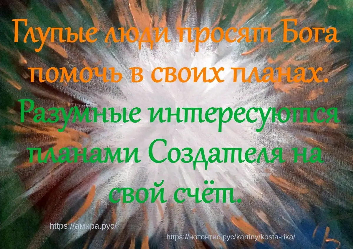 comment image