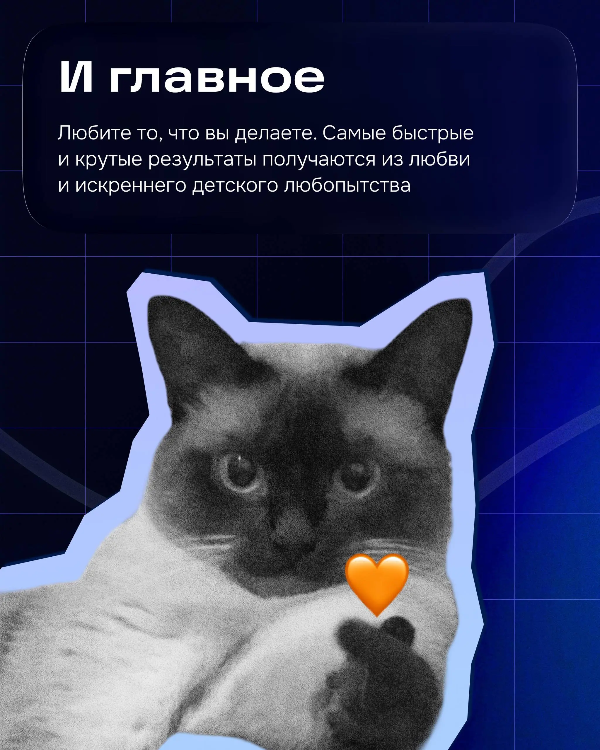 Привет! Меня зовут Даша, я продуктовый дизайнер в группе Товары.
У меня нет профильного образования, я не оканчивала вышку по специальности и не ходила в художественную школу. Дизайну я училась сама | Сетка — социальная сеть от hh.ru