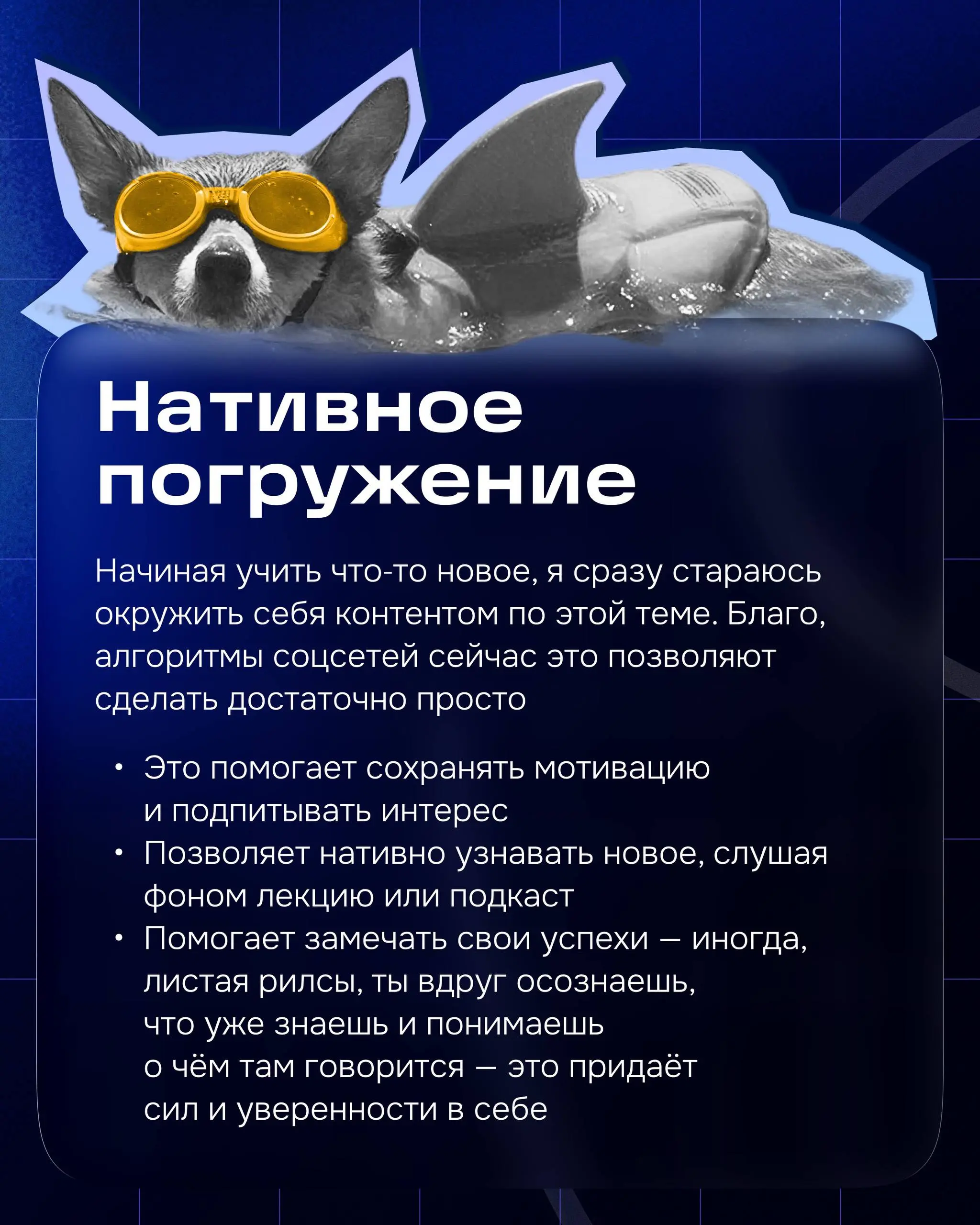 Привет! Меня зовут Даша, я продуктовый дизайнер в группе Товары.
У меня нет профильного образования, я не оканчивала вышку по специальности и не ходила в художественную школу. Дизайну я училась сама | Сетка — социальная сеть от hh.ru