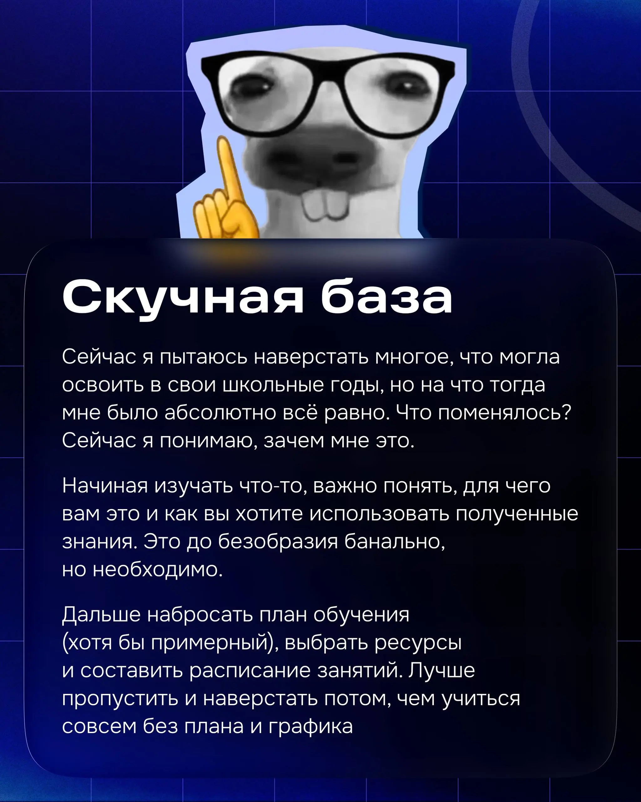 Привет! Меня зовут Даша, я продуктовый дизайнер в группе Товары.
У меня нет профильного образования, я не оканчивала вышку по специальности и не ходила в художественную школу. Дизайну я училась сама | Сетка — социальная сеть от hh.ru
