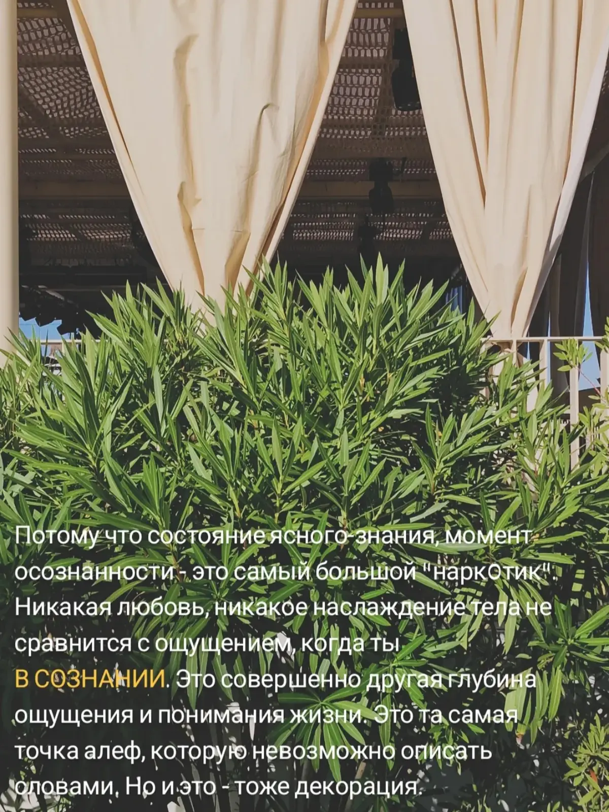 Ловушка состояния #осознанность
Ещё два слайда в комментариях 🫶 | Сетка — социальная сеть от hh.ru