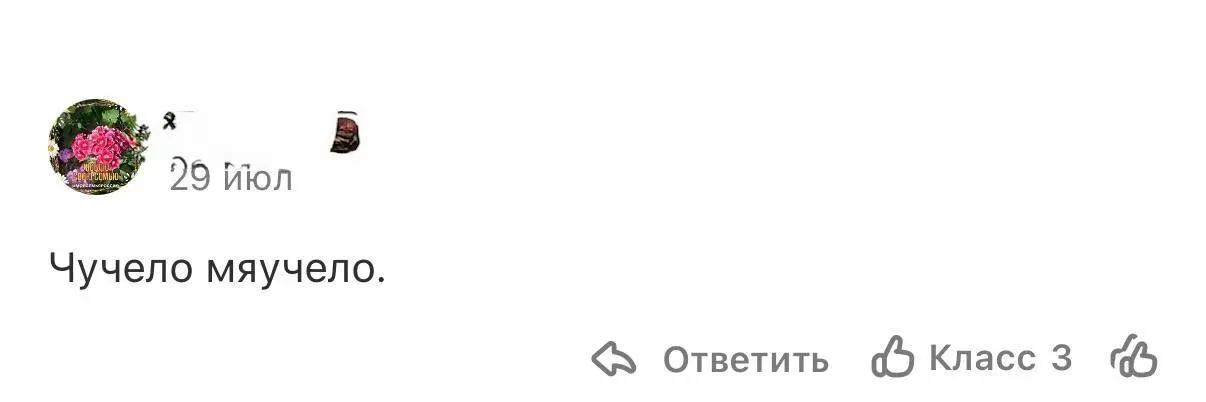 Немного о женской солидарности и самой токсичной соцсети
По долгу службы иногда приходится быть лицом бренда в видео для соцсетей | Сетка — социальная сеть от hh.ru