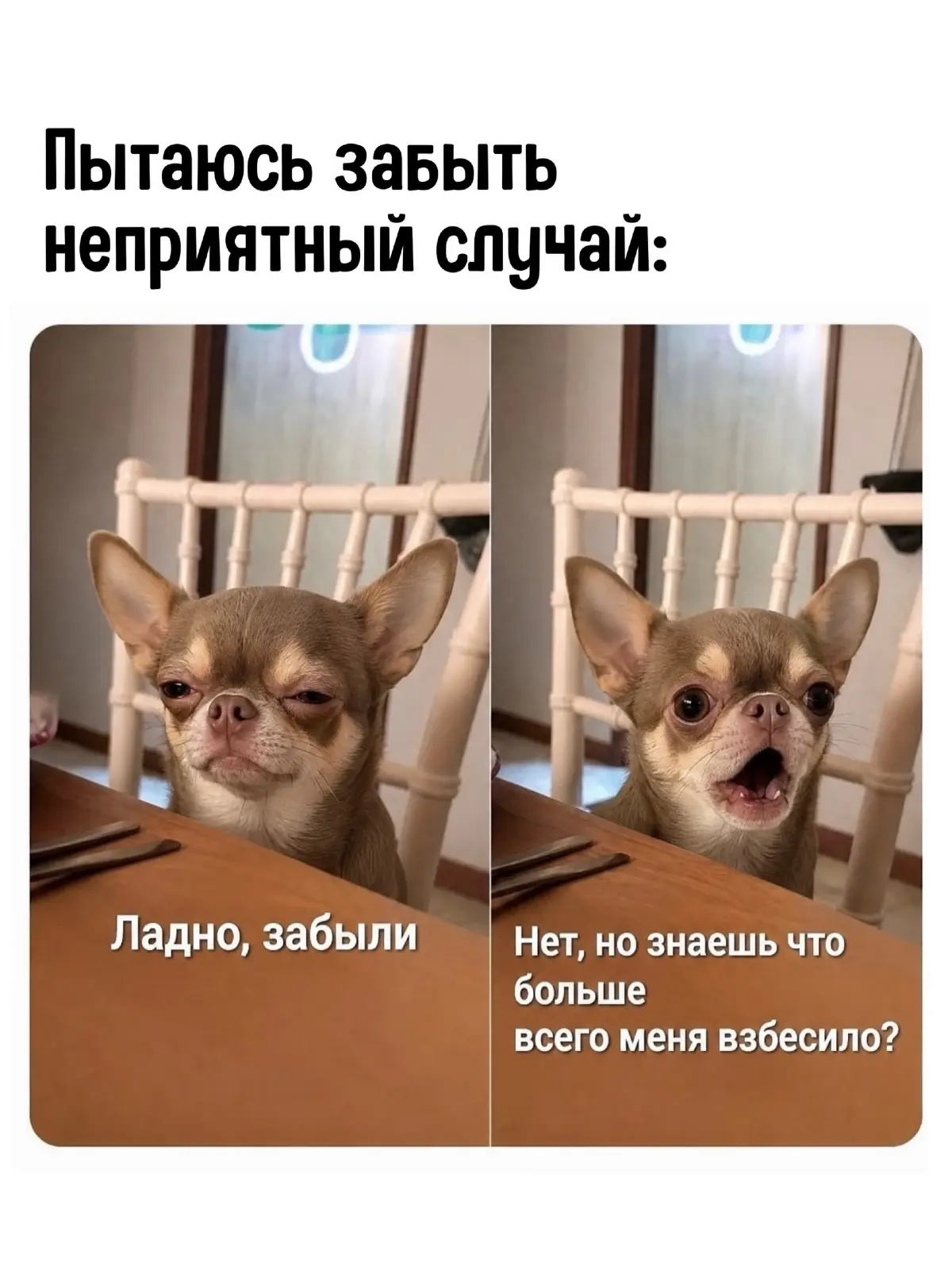 Я сегодня приехала к потенциальному паботодатею сдавать тестовое (потому что у него регламентом запрещено отправлять на внешнюю почту) и меня встретили словами "ну вот, видите, у нас для вас нет ни вр... | Сетка — социальная сеть от hh.ru