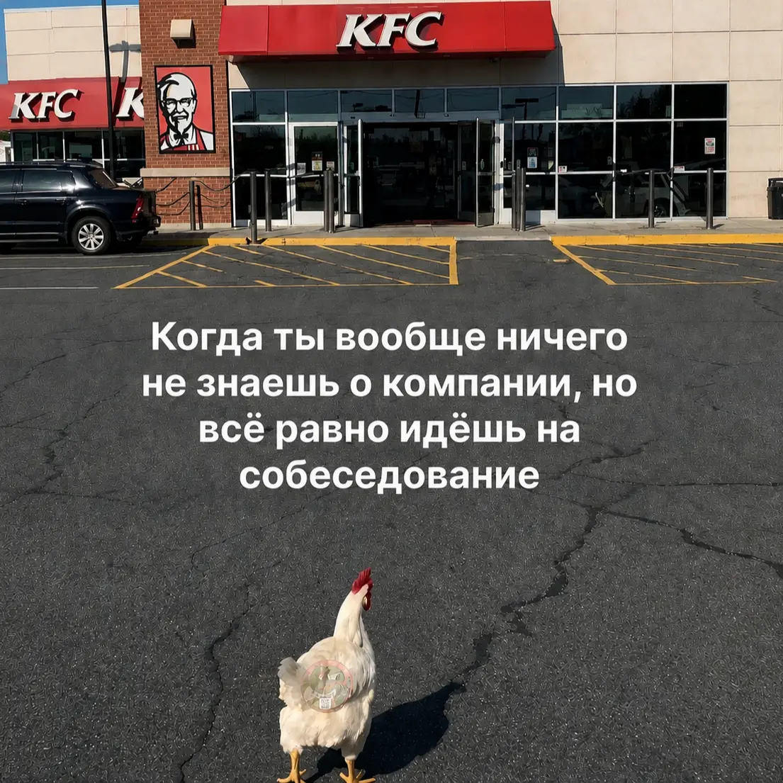 Тестовые — как много боли в этом слове 😔 | Сетка — социальная сеть от hh.ru