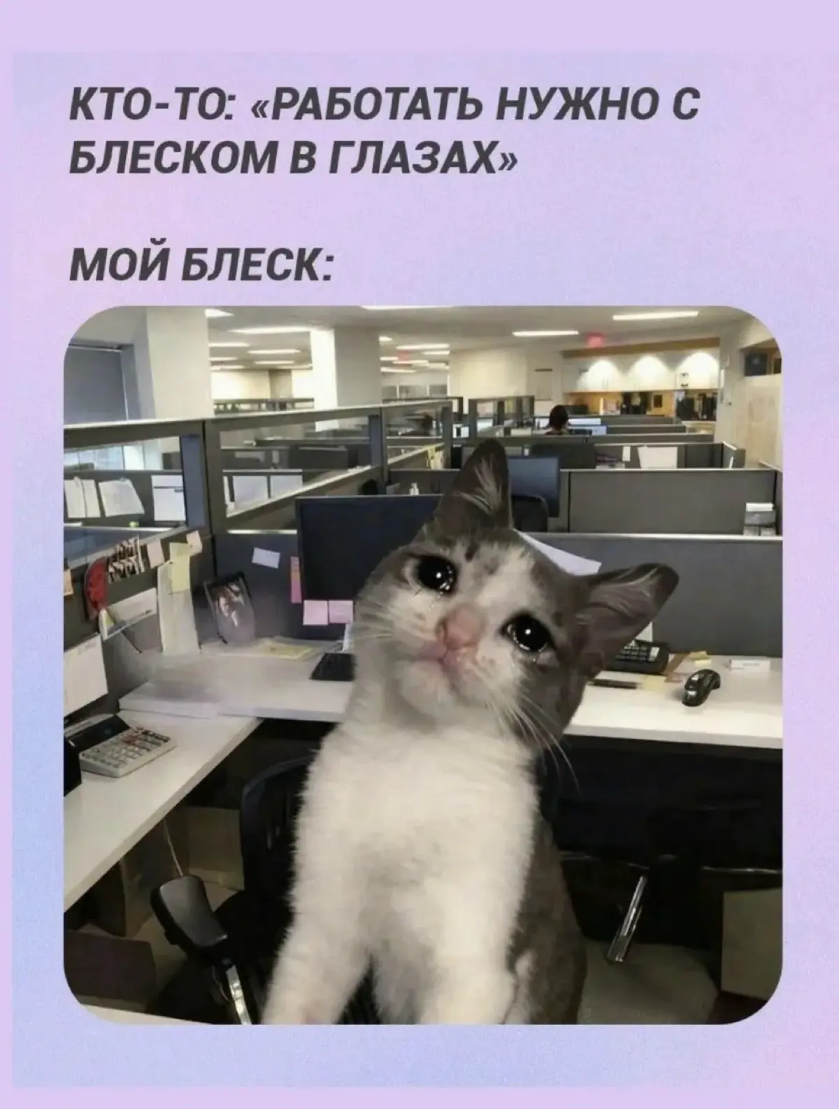 Особенно по понедельникам😄🐥 | Сетка — социальная сеть от hh.ru